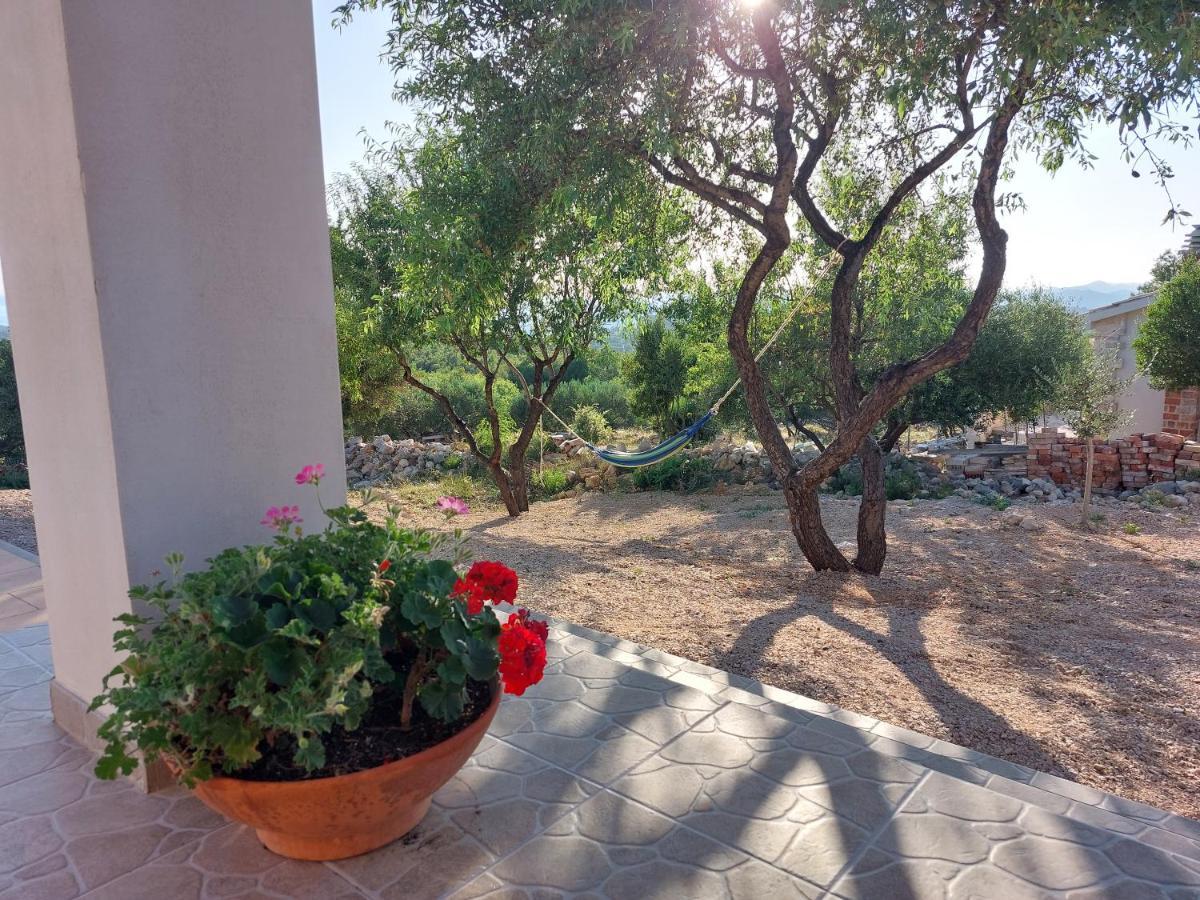 Villa Olive Garden House Šibenik Extérieur photo